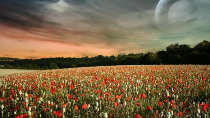 女生被踢裆也会很疼吗?